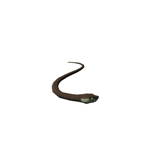 Snake 8